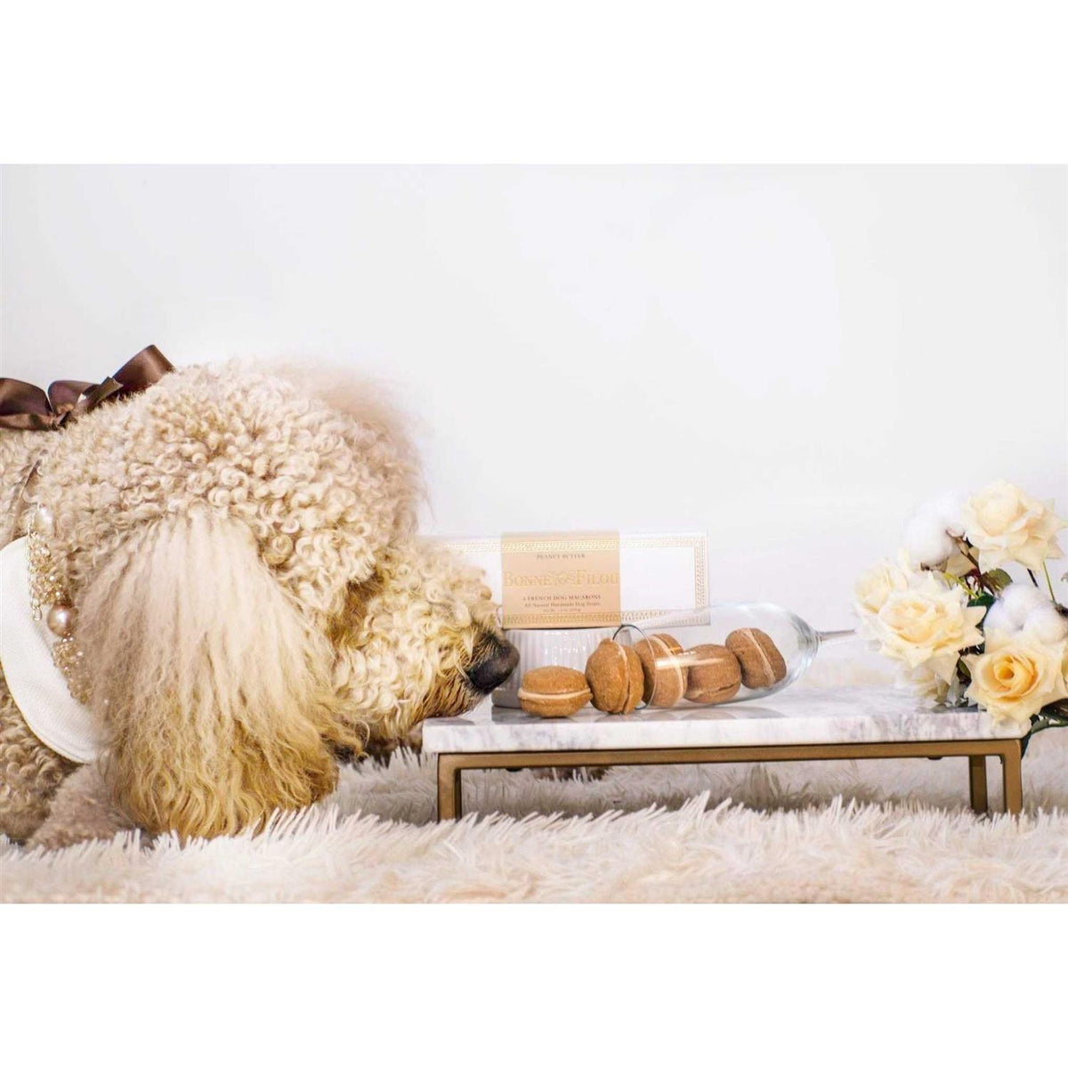 Dog Macarons K613193