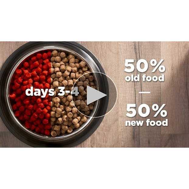 Adult Cat Food W331