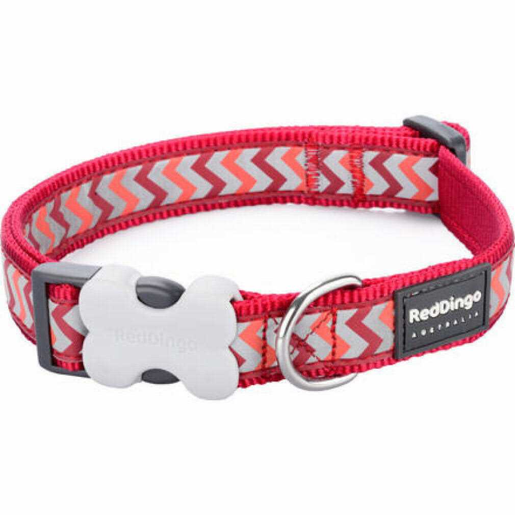 Dog Collar S4335