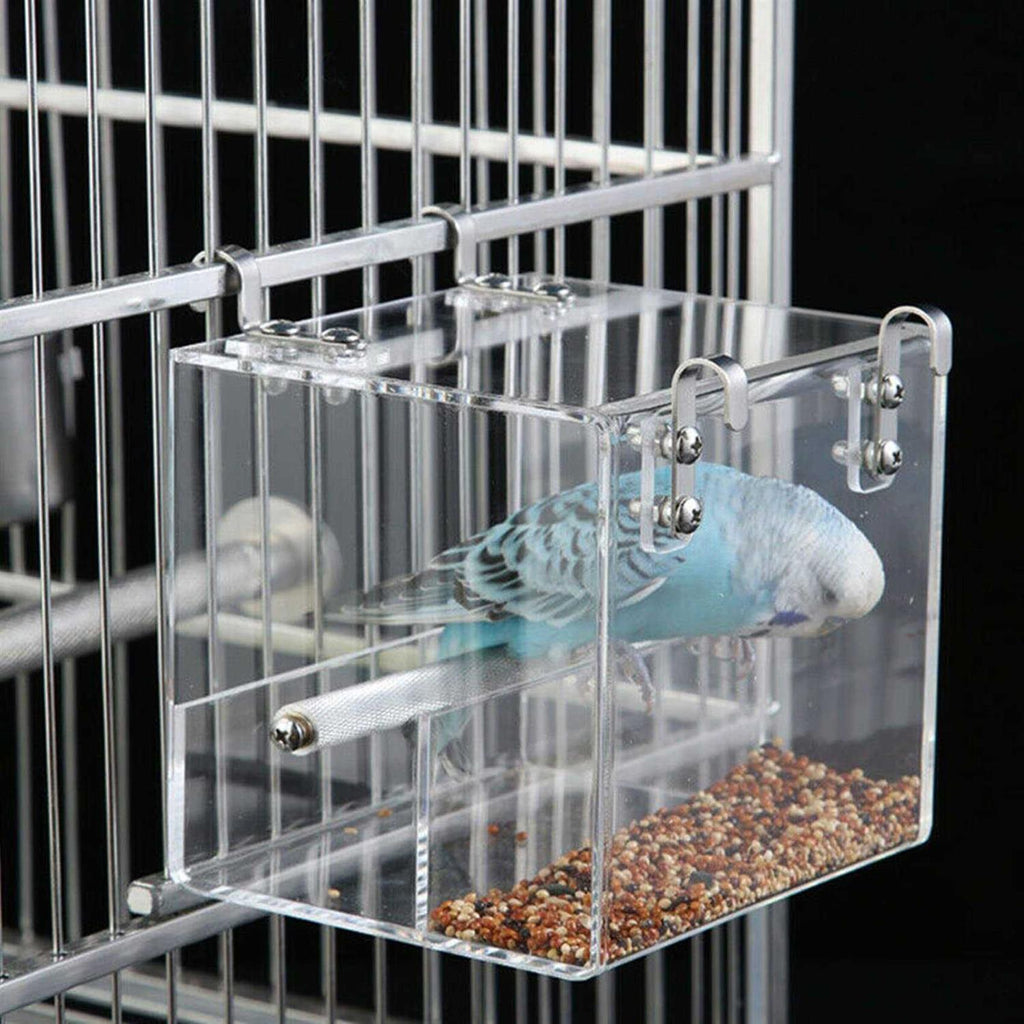 Automatic Bird Feeder Acrylic W306712