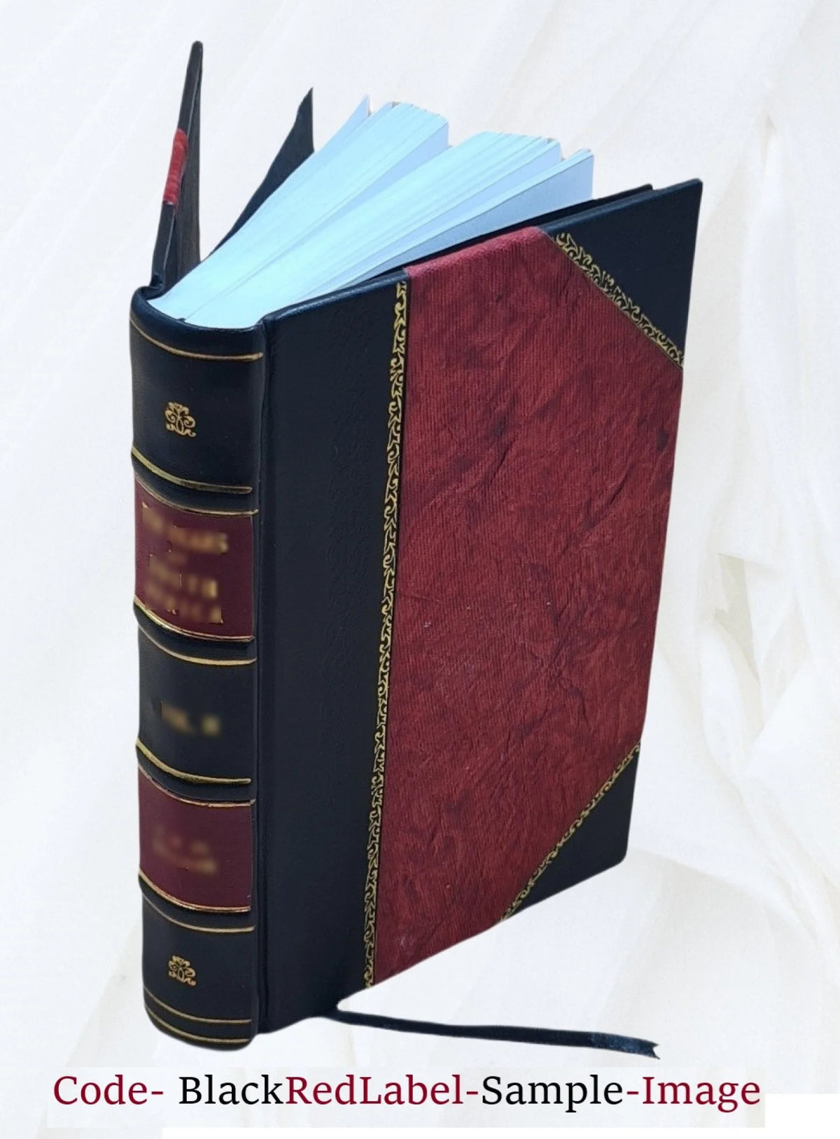 Civil War Leather Bound Y256453